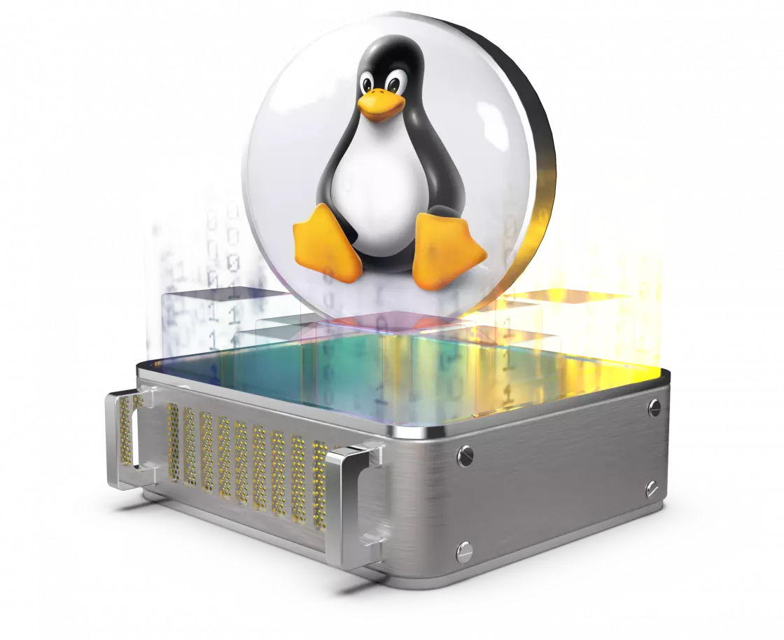 Linux Hosting